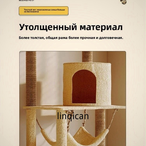 1780764139979.jpg