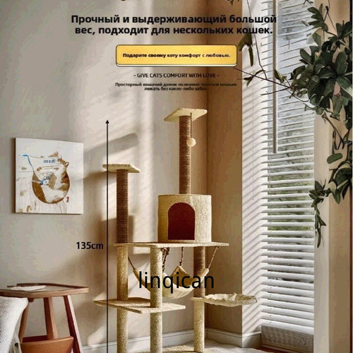 1780764144061.jpg