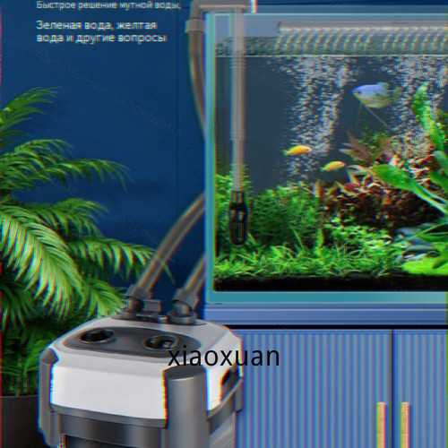 1780764989134.jpg