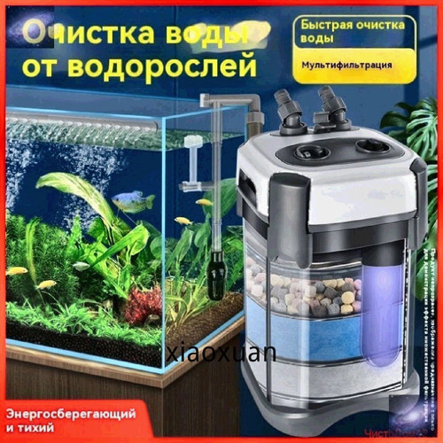 1780765021825.jpg