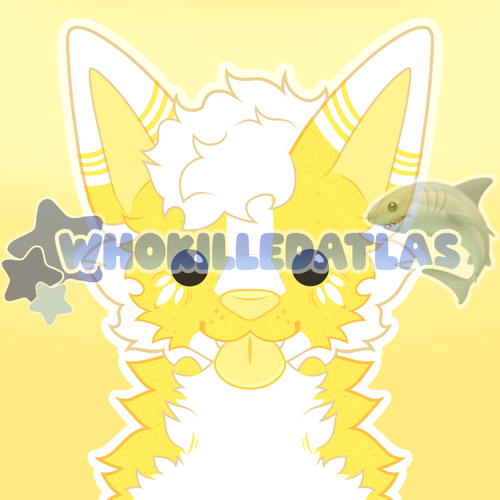IMG 2357.png
