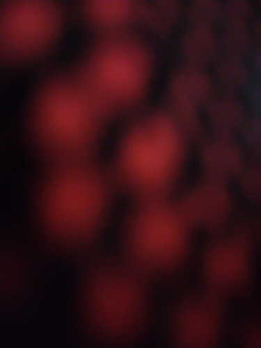 temp.png