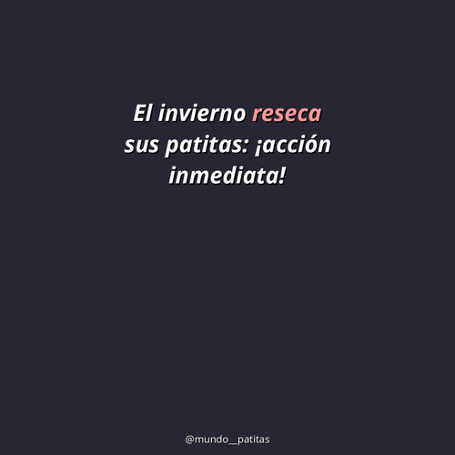 0298d4b2c80b.jpg