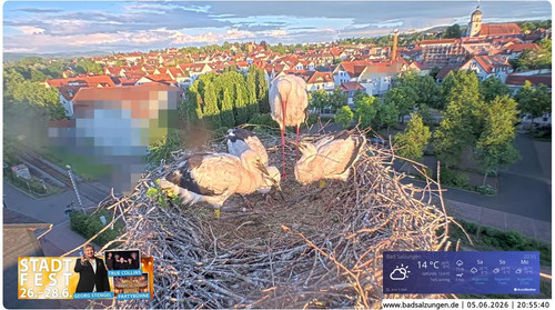 MWSnap741.jpg