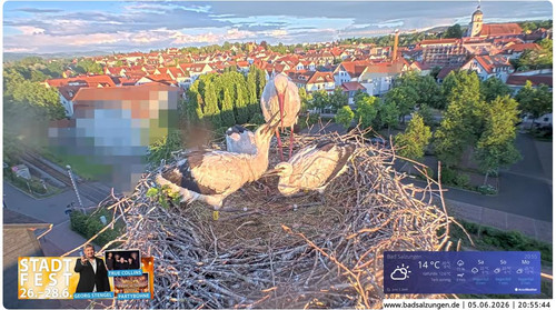 MWSnap742.jpg