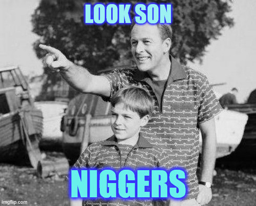 9jndr9.jpg