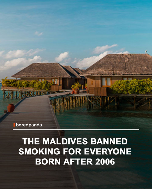 img facts (11).jpg