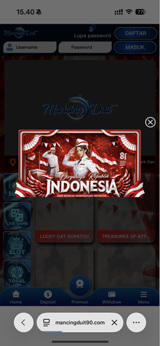 IMG 8911.png