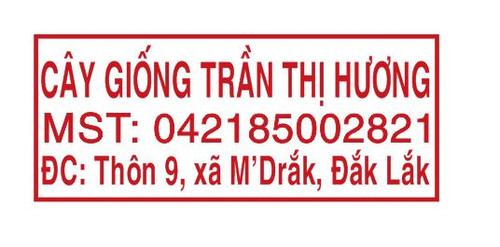 tran huogn.jpg