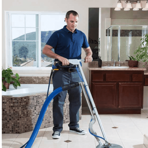 upholcleaning 1.png