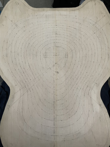 Contours and brace positions.jpg