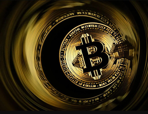 will bitcoin go up this year 1024x788.jpg