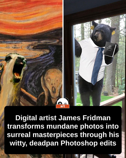 draft 176 1785913428761.jpg
