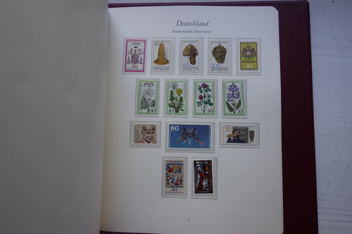 DSC07844 (Kopírovat).jpg