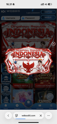 IMG 9042.png