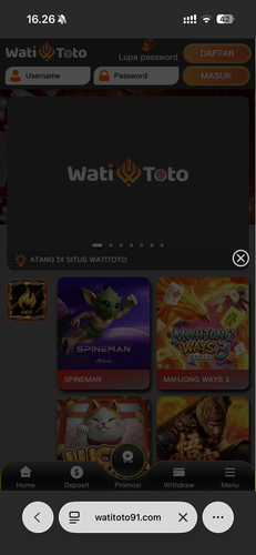 IMG 9031.png