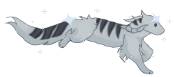 IMG 2669.png