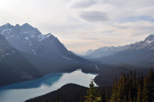 image4.jpg
