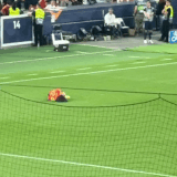 GIF 20260805122720032.gif