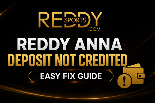 Reddy Anna Deposit Not Credited Easy Fix Guide.jpg