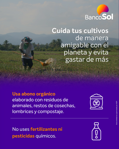 Envío 10 (1).png