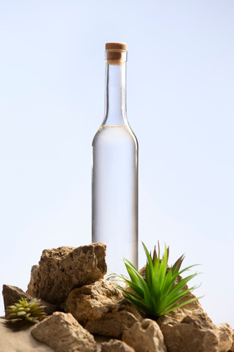 imgi 94 sotol bebe vida muerta 23 2151057994.jpg