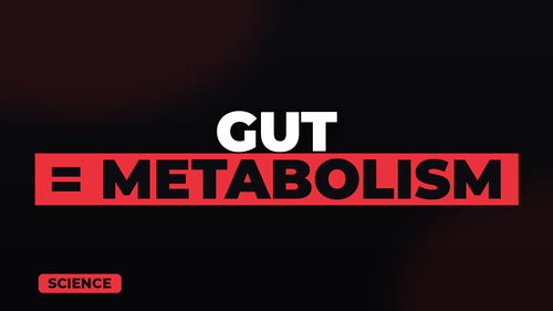 thumb gut health and metabolism connection landscape.png