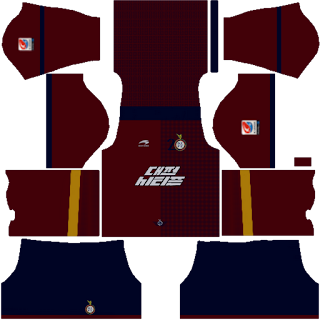 daejeon citizen away.png