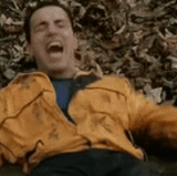 13103.gif