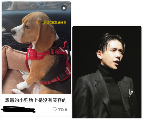 img 0039.png