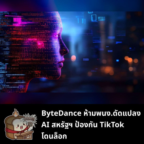 40dab383e2b3.jpg