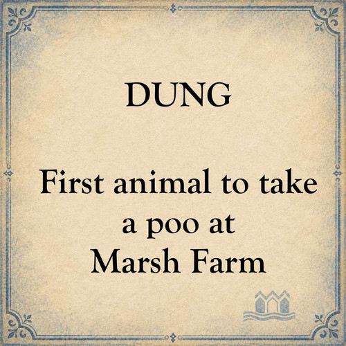 dung.jpg