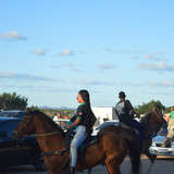 DSC 0586