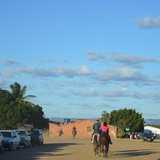 DSC 0591