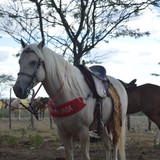 DSC 0420