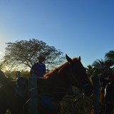 DSC 0603