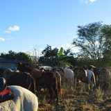 DSC 0601