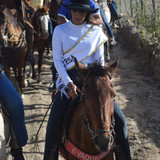 DSC 0503