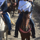 DSC 0500