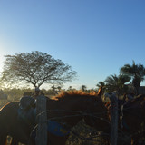 DSC 0605