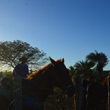 DSC 0604