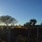 DSC 0606