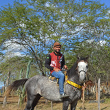 DSC 0435