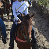 DSC 0504