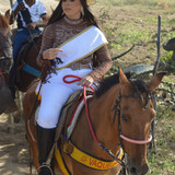 DSC 0454