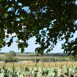 DSC 0413