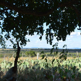 DSC 0411