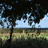 DSC 0410
