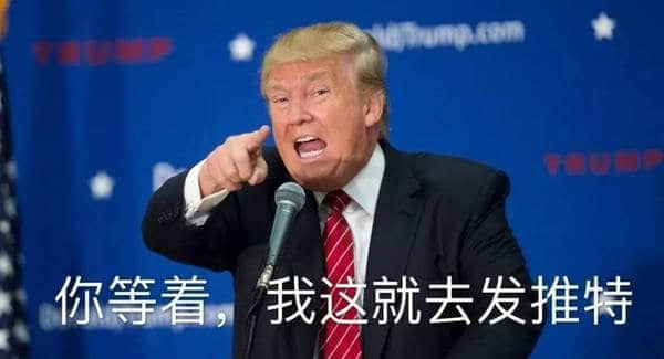 程序员 reaction：特朗普00017 你等着我这就去发推特