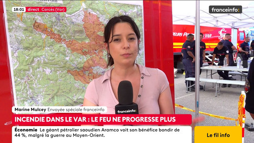 Le fil info (Franceinfo) 2026 08 04 12 54 59.ts snapshot 04.08.03.944